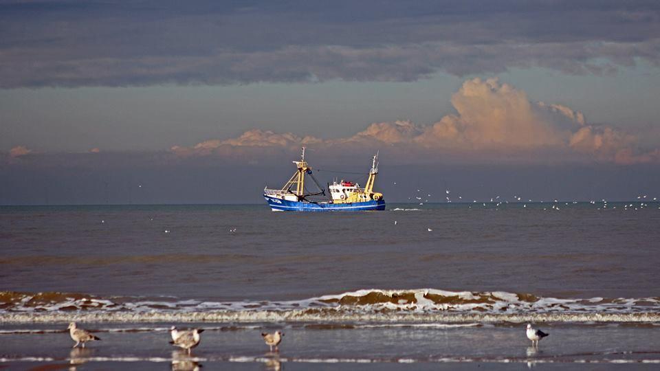 De Blaauboer, Vakantiehuisje Egmond aan Zee Bagian luar foto